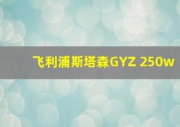 飞利浦斯塔森GYZ 250w